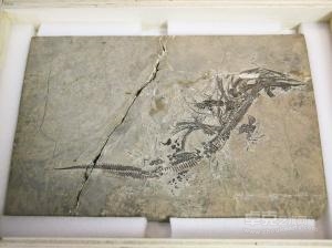 流失文物如何归还中国