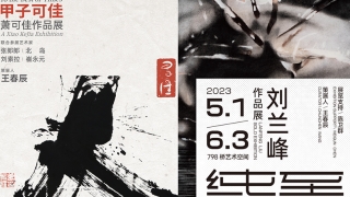 书画同行 至纯至简——萧可佳、刘兰峰双个展于 798桥艺术空间开幕