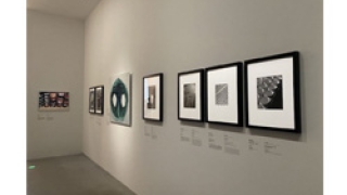 在毕加索、柯布西耶静物里，听“万物声音”